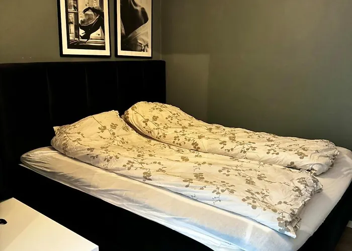 Modern And Peaceful In Nydalen Oslo