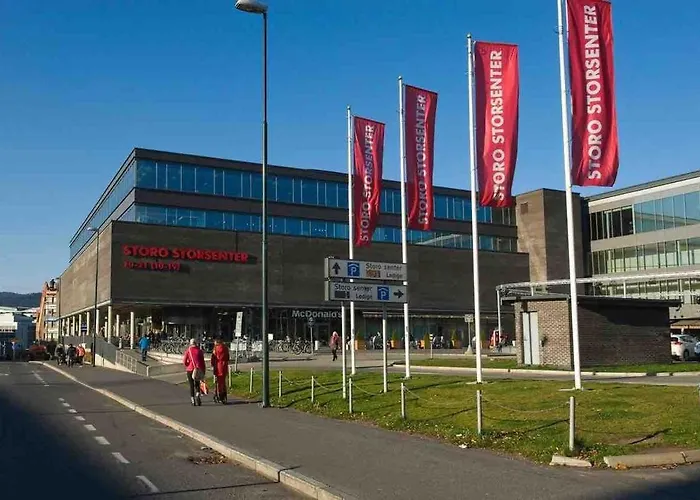 Modern And Peaceful In Nydalen * אוסלו